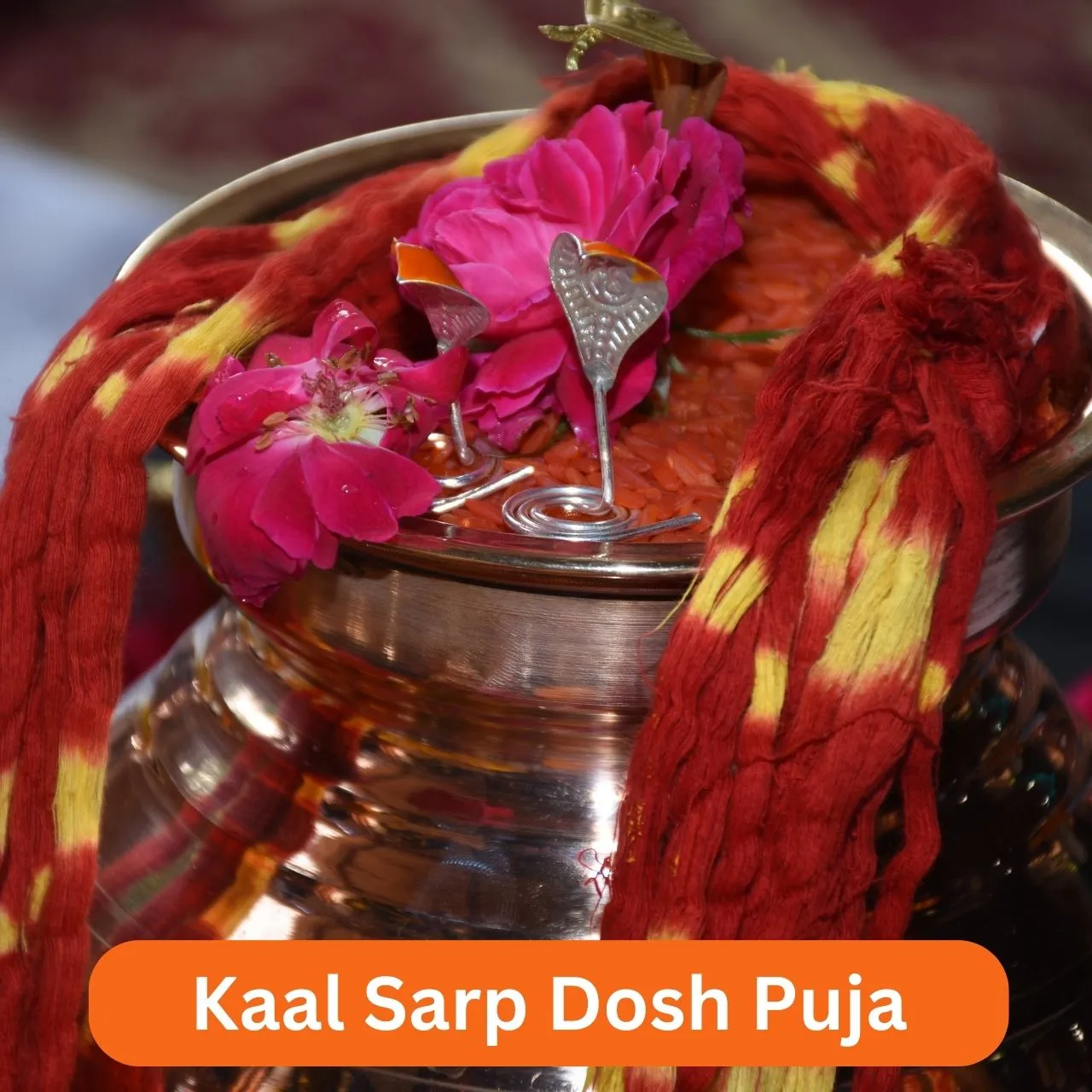 काल सर्प दोश पूजा उज्जैन